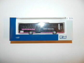 Rietze 74718 MAN Lion´s Intercity Nussbaum Reisen Biburg