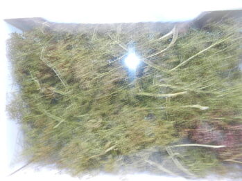 Heki   1638 - 20 Bäume, Seemoos natur