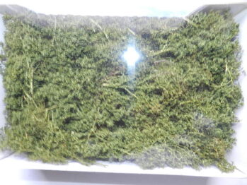 Heki   1672 Heki  Blätterbäume u. Büsche, 15 Stück dunkelgrün