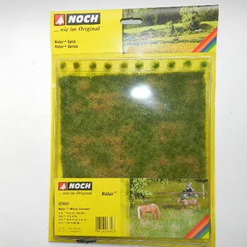 Noch  07403 - Natur+ Wiese Sommer
