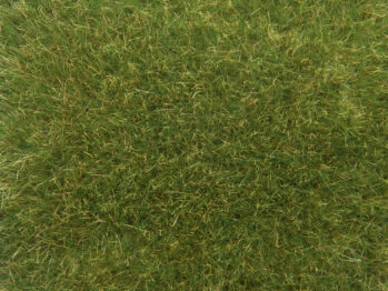 NOCH 07118 - Wildgras mittelgrün, 9 mm, 50 g Beutel