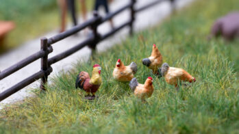 NOCH 12965 - Sound-Szene 2.0 "Hühner und Hahn"