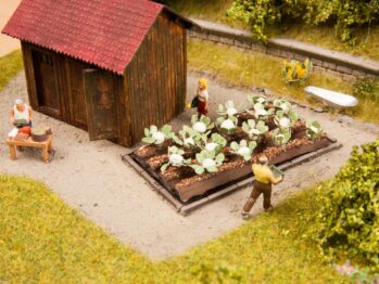 NOCH 13216 - Blumenkohl 16 Pflanzen, 3 cm x 6 cm