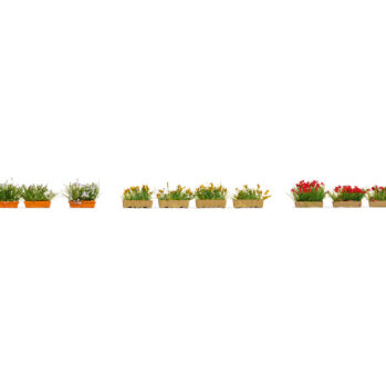 NOCH 14009 - Blumenkästen blühend rot, weiß und gelb 12 Blumenkästen