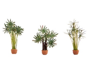 NOCH 14024 - Palmen 3 Stück