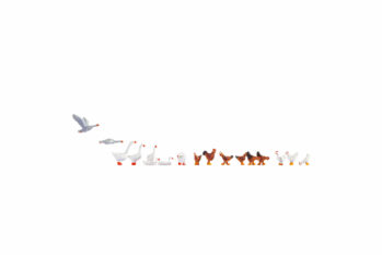 NOCH 15772 - Hühner und Gänse