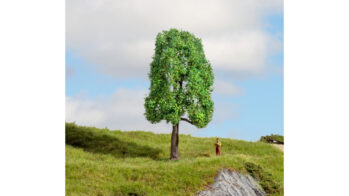 NOCH 20101 - Esche 13 cm hoch