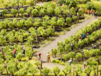 NOCH 21545 - Weinreben 24 Rebstöcke, ca. 1,6 cm hoch