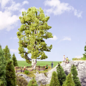 NOCH 21641 - Doppelstämmige Birke 19 cm hoch