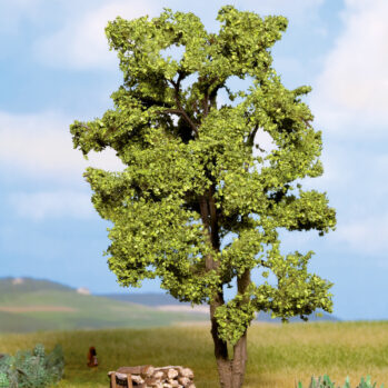 NOCH 21660 - Akazie 15 cm hoch