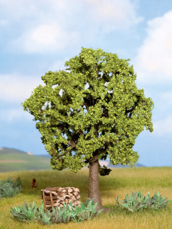 NOCH 21690 - Hainbuche 13 cm hoch