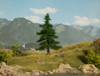 NOCH 21810 - Nordmanntanne 12 cm hoch