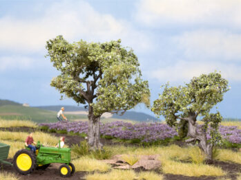 NOCH 21995 - Olivenbäume 2 Stück, 6 und 9 cm hoch