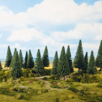 NOCH 24640 - Tannen 8 Stück, 10 - 14 cm hoch