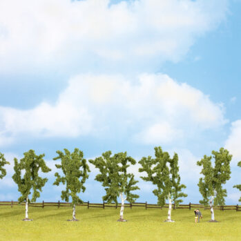 NOCH 25096 - Birken 7 Stück, ca. 10 cm hoch