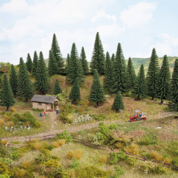 NOCH 26820 - Modelltannen 25 Stück, 5 - 14 cm hoch