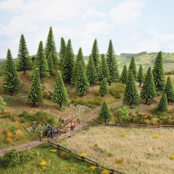 NOCH 26825 - Modellfichten 25 Stück, 5 - 14 cm hoch