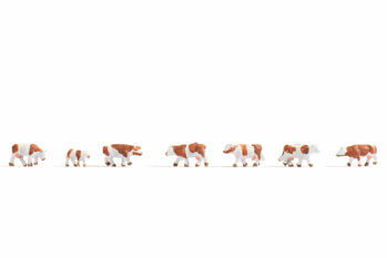 NOCH 44251 - Kühe, braun-weiß