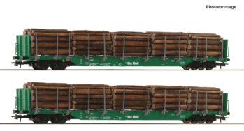 Roco 6600319 - 2er Set Rungenwagen Rnoos OnRail grün