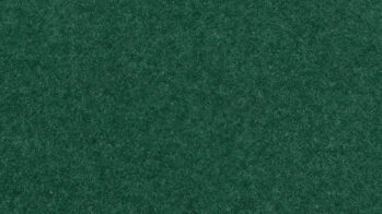 NOCH 08321 - Streugras dunkelgrün, 2,5 mm, 20 g Beutel