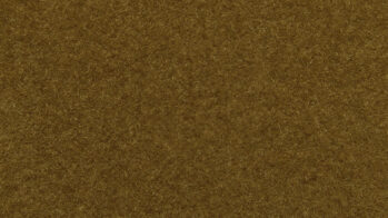 NOCH 07082 - Wildgras Inhalt: Wildgras braun, 6 mm, 50 g Beutel