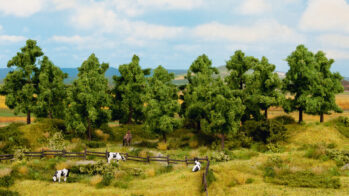 NOCH 24602 - Laubbäume 6 Stück, 14 - 18 cm hoch