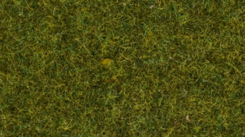 NOCH 08361 - Streugras "Wiese" 4 mm, 20 g Beutel