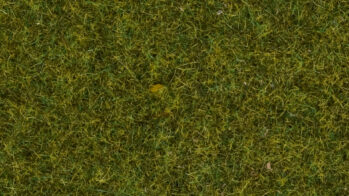 NOCH 07117 - Wildgras "Wiese" Inhalt: Wildgras "Wiese", 9 mm, 50 g Beutel