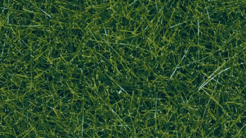 NOCH 07120 - Wildgras Inhalt: Wildgras dunkelgrün, 9 mm, 50 g Beutel