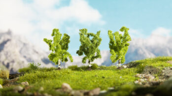 NOCH 25120 - Birken 3 Stück, 8 und 10 cm hoch