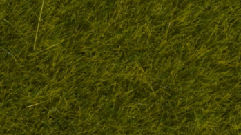 NOCH 07100 - Wildgras “Wiese” Wildgras “Wiese” 6 mm, 50 g Beutel