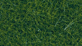 NOCH 07116 - Wildgras XL Inhalt: Wildgras XL dunkelgrün, 12 mm, 40 g Beutel