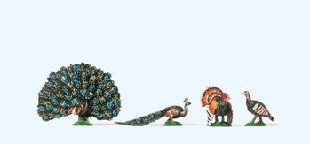 Preiser 10166 - H0 Truthahn, Pfau