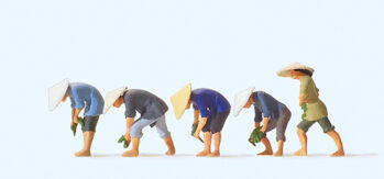 Preiser 10574 - H0 Auf dem Reisfeld (2)