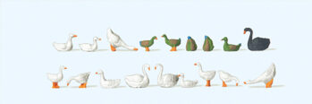 Preiser 14167 - H0 Enten, Gänse und Schwäne