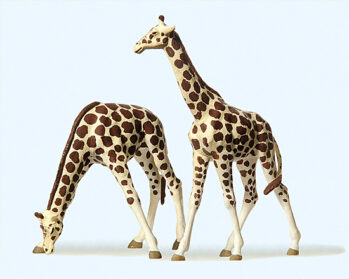Preiser 20385 - H0 Giraffen