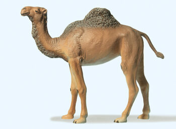 Preiser 47531 - 1:25 Dromedar